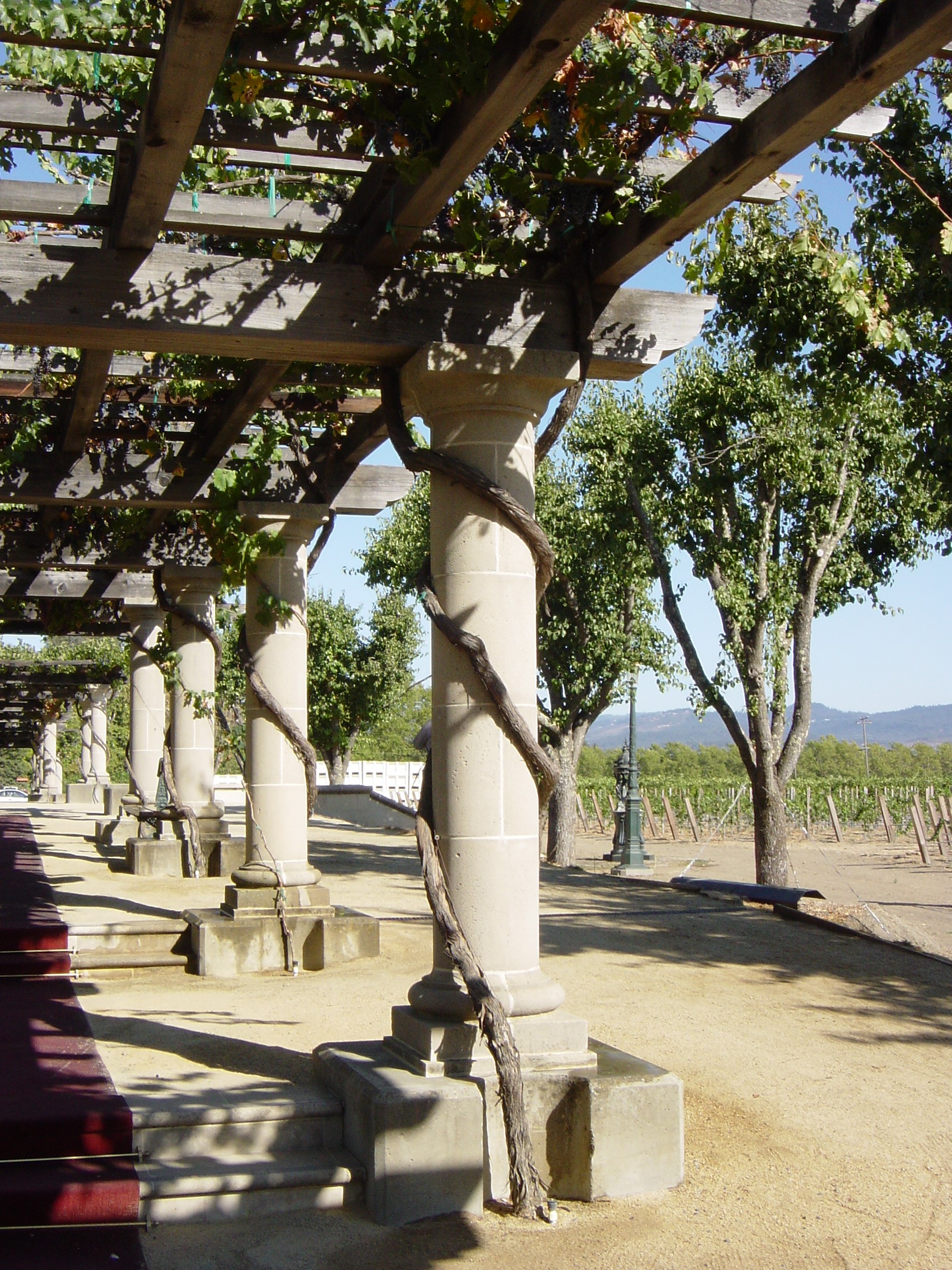 Coppola Grape Arbor